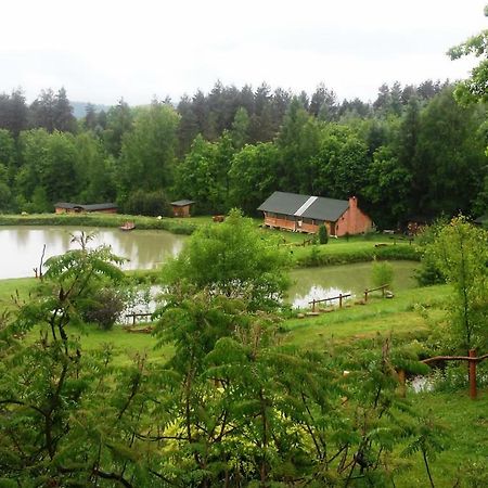 Dolina 4 Stawow Villa Krzywcza Kültér fotó