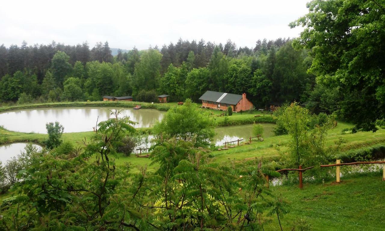 Dolina 4 Stawow Villa Krzywcza Kültér fotó