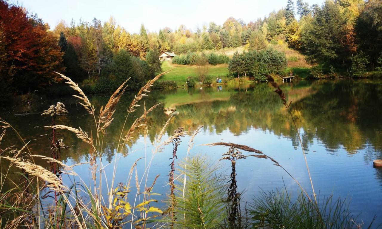 Dolina 4 Stawow Villa Krzywcza Kültér fotó